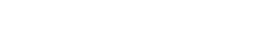 Black Swan Financial Services Ltd